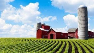 farm farming farmer