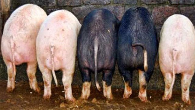 Bureaucrats living high off the hog at taxpayers expense