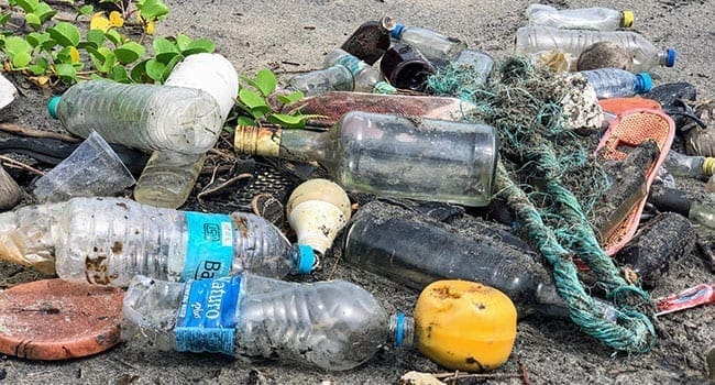 Why have we become a nation of litterbugs?