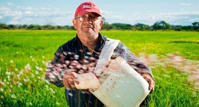 Food-related issues are widening Canada’s rural-urban gap