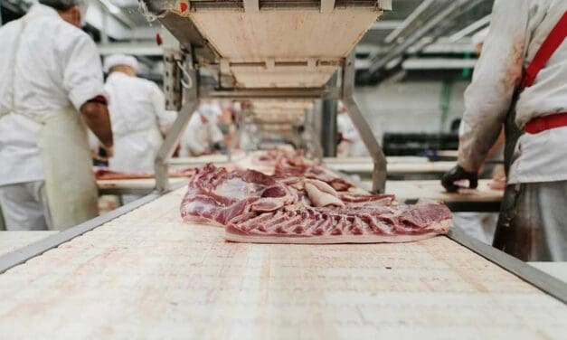 Canada’s food industry addicted to temporary foreign workers